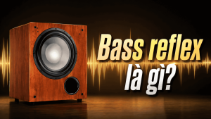 Bass reflex (loa âm trầm phản xạ) là gì? Ưu và nhược điểm ra sao?