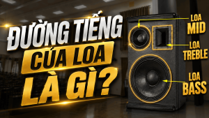 Đường tiếng của loa là gì? Loa 2, 3, 4 đường tiếng loại nào nghe hay?