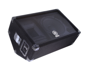 Loa monitor Yamaha SM10V