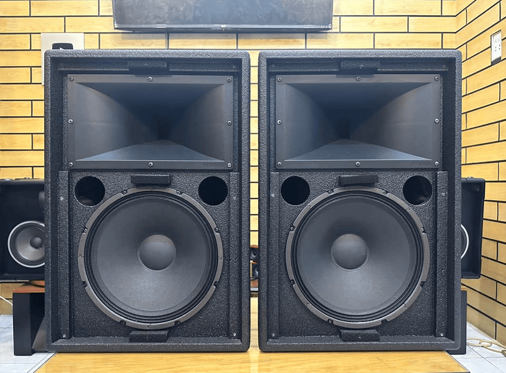 Loa Yamaha C112VA