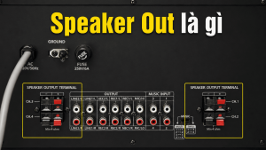 Speaker Out là gì? Phân biệt Front Speaker Out và Rear Speaker Out trên thiết bị âm thanh