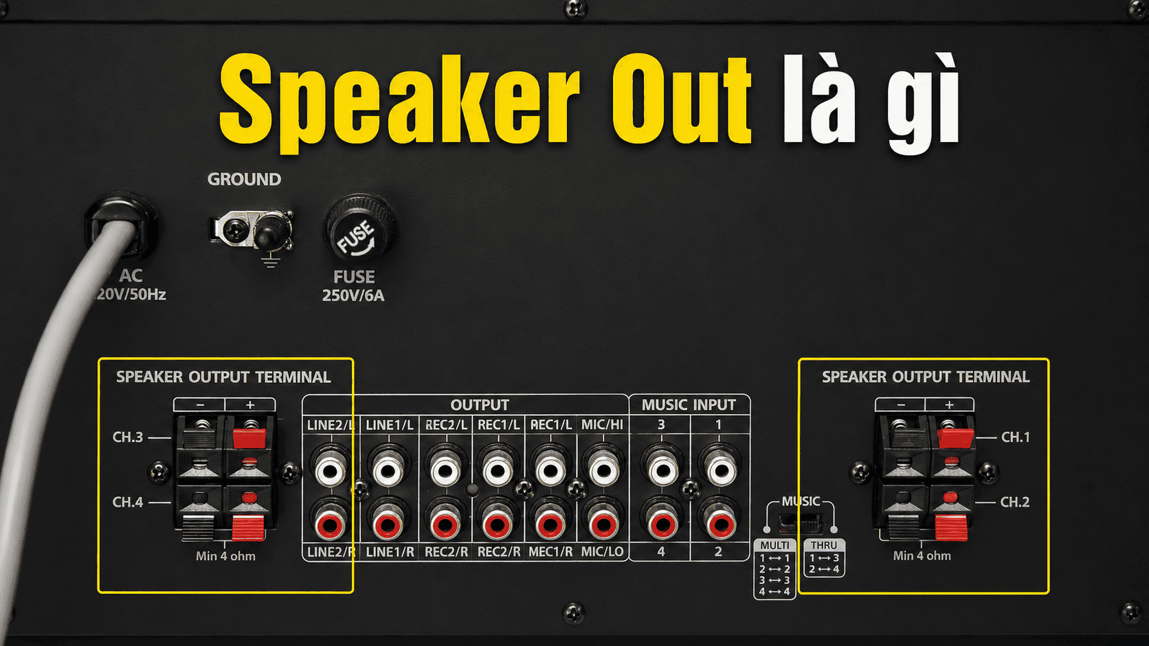 Speaker Out là gì? Phân biệt Front Speaker Out và Rear Speaker Out trên thiết bị âm thanh