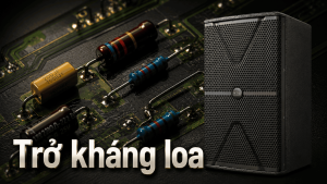 Trở kháng loa là gì? Hiểu đúng để ghép loa và amply không cháy thiết bị